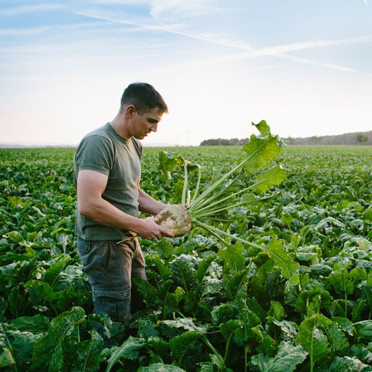 Nous utilisons et soutenons les ressources agricoles locales. Notre procédé de fermentation ne produit aucun déchet, tout est recyclé ou réutilisé. Nous nous inspirons de la nature et respectons la nature.